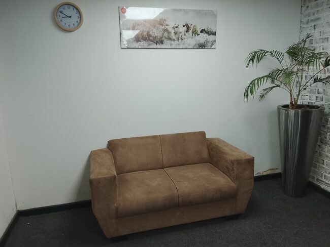 Brown Velvet Couch - Image 2