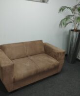 Brown Velvet Couch
